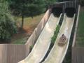 Dollywood 9-3-07