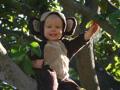 Img-8228_120x90_c
