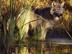 Image003_72x54_c