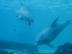 Img-1243_72x54_c