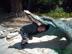 Mb--2008-061_72x54_c